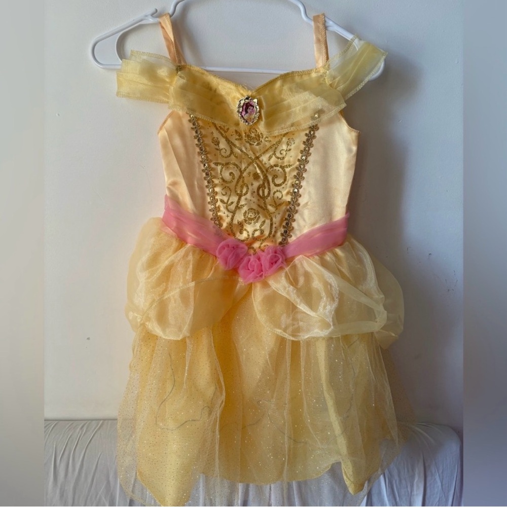 Disney Golden and Pink Princess Dance Costume